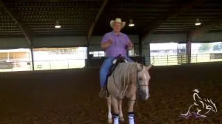 Reining Horse Training - Consistent Stops With Dell Hendricks