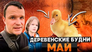 Деревенские будни. Май.