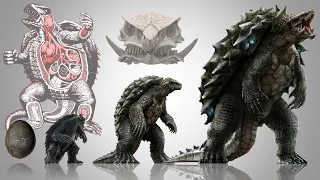 Gamera's Origins, Biology and Life Cycle Explained