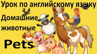 Урок 9 по английскому языку на тему Домашние животные | Pets