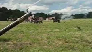 Battle Fridland 2007 reenactments Napoleonic