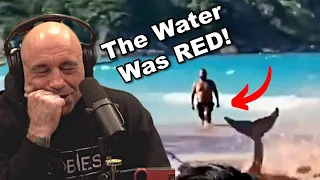 Joe Rogan reacts to BRUTAL Great White Shark ATTACK