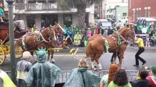 Horses get out of control during St. Pat's Parade