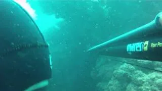 spearfishing israel amberdjak подводная охота амберджак израиль דיג בצלילה להקת אינטיאס