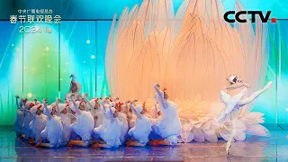 少儿舞蹈结合芭蕾 “鹅宝宝”与“白天鹅”演绎经典名作《鹅鹅鹅》「2024央视春晚」| CCTV春晚