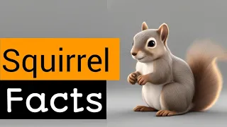 "Unbelievable Facts About Squirrels: Nature's Nutty Marvels!"