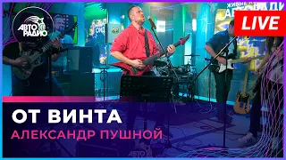 Александр Пушной - От Винта ("Смешарики" cover) LIVE @ Авторадио