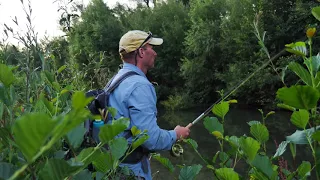 ORVIS - How To Fly Cast In Heavy Brush