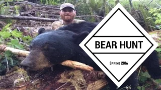 Bear Hunt | Spring 2016 Bear Hunting