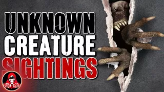 5 CREEPY Unknown Creature Sightings - Darkness Prevails