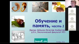 Вячеслав Дубынин ФЧЖ 4 курс 2021 лекция память