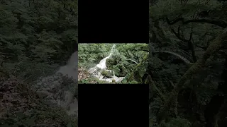 Awesome amazing power of nature! Devil's bridge waterfalls, Wales UK.