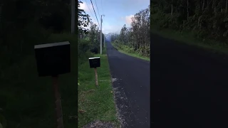 Kilauea just erupted in front of our house! We all got out !!