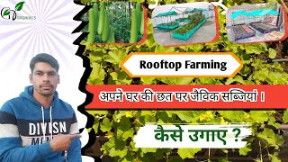 Organic Vegetable Farm on Rooftop | GR Organics