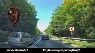 Imbecili pe ruta Bradu-Sibiu