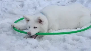 ТОП-5 ошибок недели. Выпуск 6.