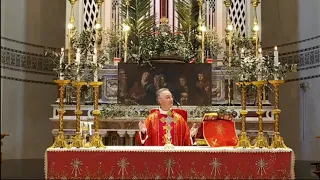 Santa Messa Domenica delle Palme e della Passione del Signore, 5 aprile 2020