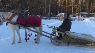 Маршрут по лесным дорожкам музея-усадьбы А.С.Пушкина в Захарово