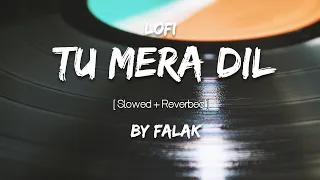 TU MERA DIL BY FALAK LYRICS (LOFI) || SLOWED AND REVERB || SLOW SONG || OLD SONG