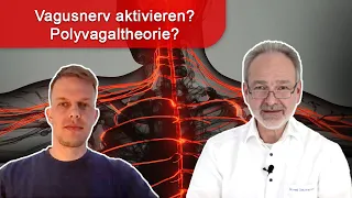 Chronischer Stress und der Vagusnerv: Gezielt aktivieren? Was ist die Polyvagaltheorie?