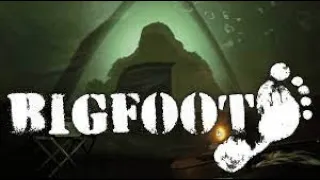 Stream| Охота на Снежного человека| Bigfoot