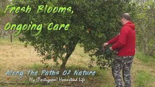 FRESH BLOOMS, ONGOING CARE (Bringing new plants to the farm while tending to existing ones) *78