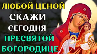 Икона Богородицы В Скорбех и Печалех Утешение. В чем помогает сильная молитва Богородице Православие