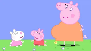 Kids TV and Stories | Baby Peppa Pig and Baby Suzy Sheep!| Peppa Pig Full Episodes