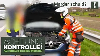 PKW ohne Kühlerflüssigkeit! 😳 MARDER am Werk? | Kabel Eins | Achtung Kontrolle