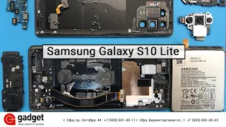 Разборка Samsung Galaxy S10 Lite / Samsung Galaxy S10 Lite Teardown Disassembly