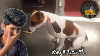 i love DOGS ❤️ -telugu