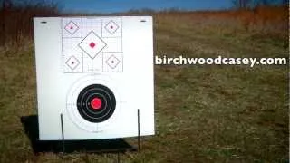 Birchwood Casey Stick A Bull Targets