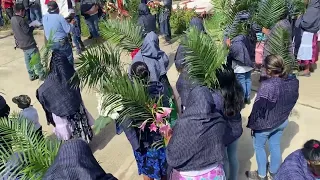 La fiesta de la virge de Guadalupe en San Miguel cuevas