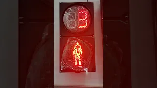 TESTING2!!  300mm RG Pedestrian Traffic Light with Countdown Timer