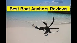 Top 3 Best Boat Anchors Reviews in 2019