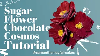 How to Make Sugar Flower Chocolate Cosmos - Gum Paste Tutorial
