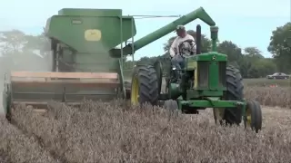 BEAN HARVEST with Antique Combines JD & Oliver  tubalcain