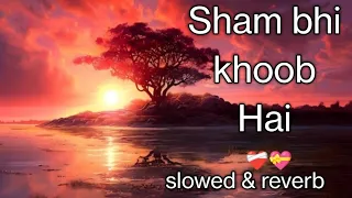Sham bhi khoob Hai pass mahbub hai #ytvideos #song slowed x reverb