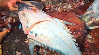 Amazing Big Poa Fish Cutting By Expert Fish Cutter | Excellent Fish Cutting Skills