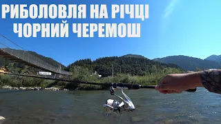 Риболовля на річці Чорний Черемош + форельне господарство "Сім Джерел"