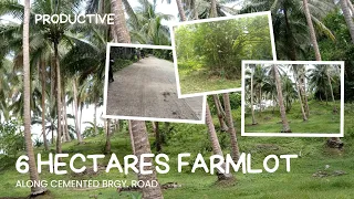 AL#06  PRODUCTIVE FARMLOT ALONG BRGY.ROAD ATIMONAN 6 HECTARES