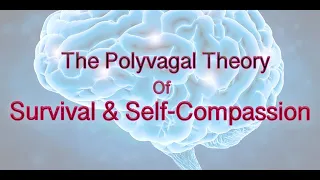 The Polyvagal Theory of Survival & Self-Compassion|MindBody Breakthrough