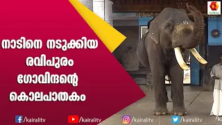 പാപ്പാനെ കൊമ്പിൽ കോർക്കുന്നത് നേരിട്ട് കണ്ടവർ | E for Elephant | Kairali TV