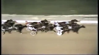 1981 Yonkers Raceway - Open Pace - Secret Service