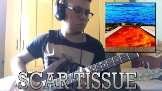 Scar Tissue (Live on Slane Castle) - Red Hot Chili Peppers (Guitar Cover by João Marcos Biscaino)