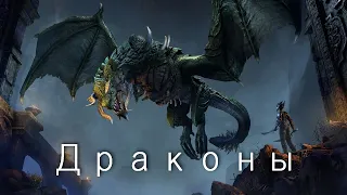 Лучшие игры где вам повстречаются драконы! Драконы в играх!