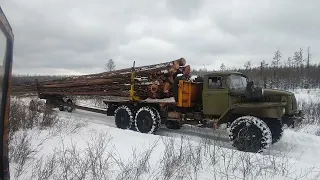 Лесовоз Урал. вывоз леса. много снега