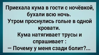 Как Кума в Гостях Без Трусов Проснулась! Сборник Свежих Анекдотов! Юмор!