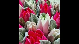 Окрашивание зефирной массы для тюльпанов от @zefirka.lena🌷 Coloring marshmallow mass for tulips