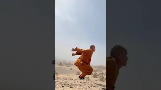 SHAOLIN MOVES COMPILATION !!! FLYING KICK of SHAOLIN KUNGFU